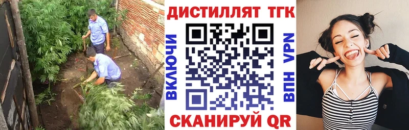ТГК жижа  blacksprut вход  Новая Ладога  даркнет сайт 