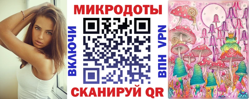 ссылка на мегу ТОР  магазин продажи наркотиков  нарко площадка официальный сайт  Галлюциногенные грибы ЛСД  Новая Ладога 